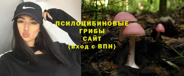 тгк Бугульма